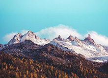 乐鱼体育官方-GA黄金甲登录入口——开启专属你的财富之门